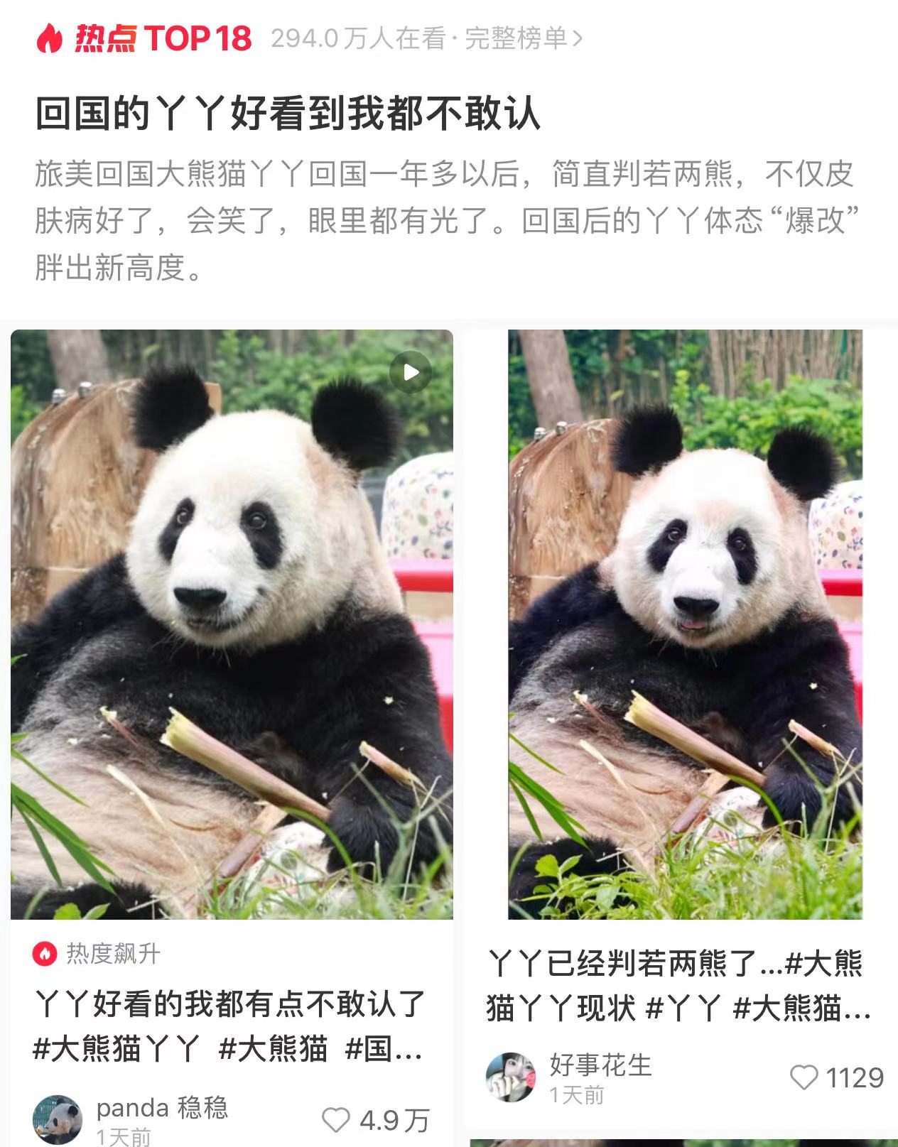 回国的丫丫好看到我都不敢认，简直判若两熊