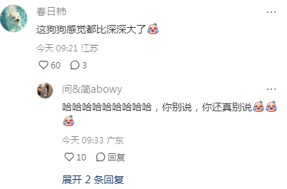 网友：我家小狗被周深rua了！