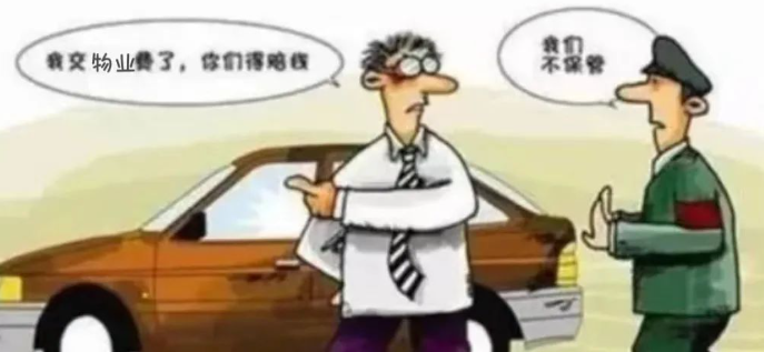 流浪猫狗“打架” “受伤”的车谁来赔？