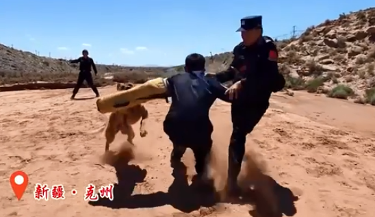 又飒又勇！看“汪汪队”训练的高燃时刻