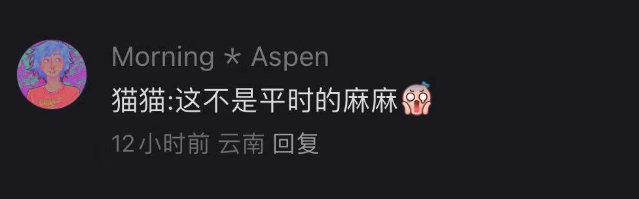 小猫：踩了它就不能踩我了哦，网友们纷纷讨论