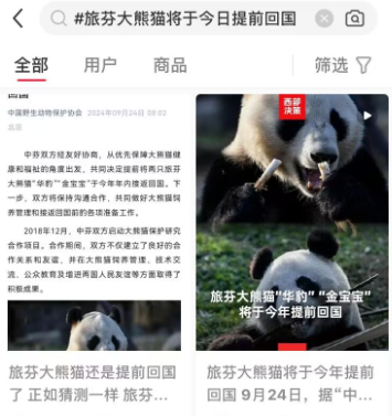 旅芬大熊猫“华豹”与“金宝宝”提前回国