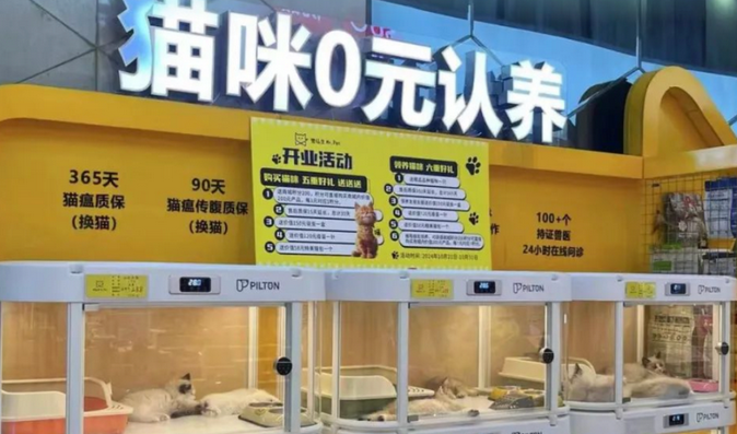 郑州“免费领养”宠物馆调查：实为“分期付款”，多人陷纠纷