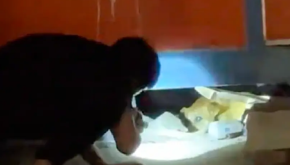 流浪狗脖上还拴着绳套，脖子一圈被勒得血肉模糊！