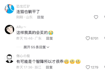 这小猫谁rua谁不迷糊，太可爱了。
