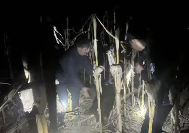 盘山公安暖心救助国家一级保护野生动物秃鹫