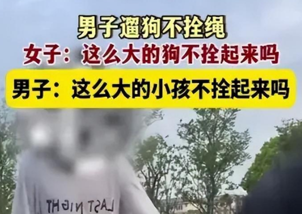 上海一公园内，狗主人嚣张表示咬到人我负责