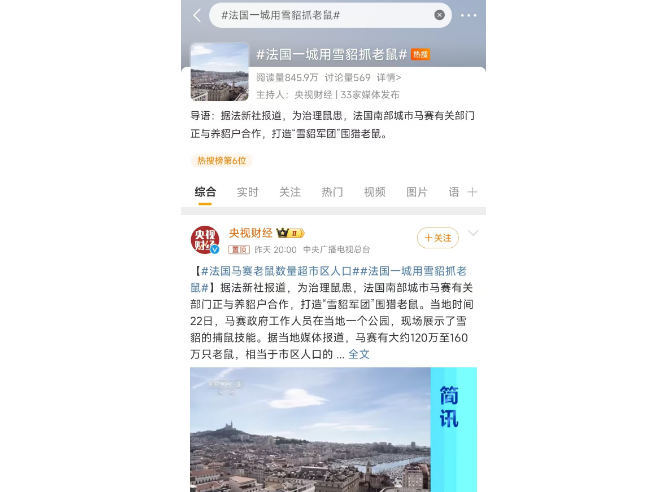 惊！法国一城用雪貂抓老鼠