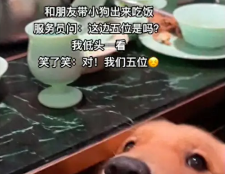 带狗去吃饭服务员问是五位吗？网友愣了一下，原来把狗也计入了！ 