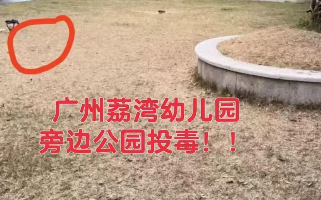 超40只宠物狗疑似中毒死亡！当地通报