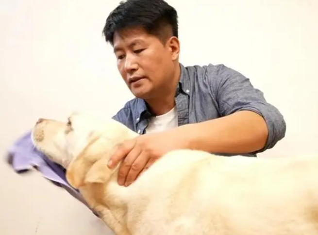 上海一盲人崩溃！申请导盲犬被拒绝，只因对门怕狗……