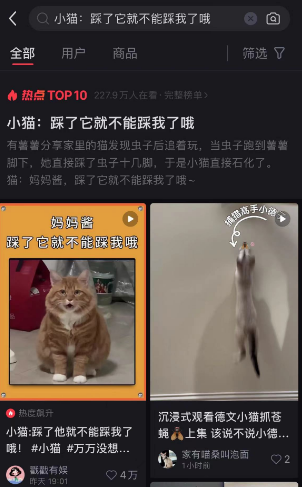 小猫：踩了它就不能踩我了哦，网友们纷纷讨论