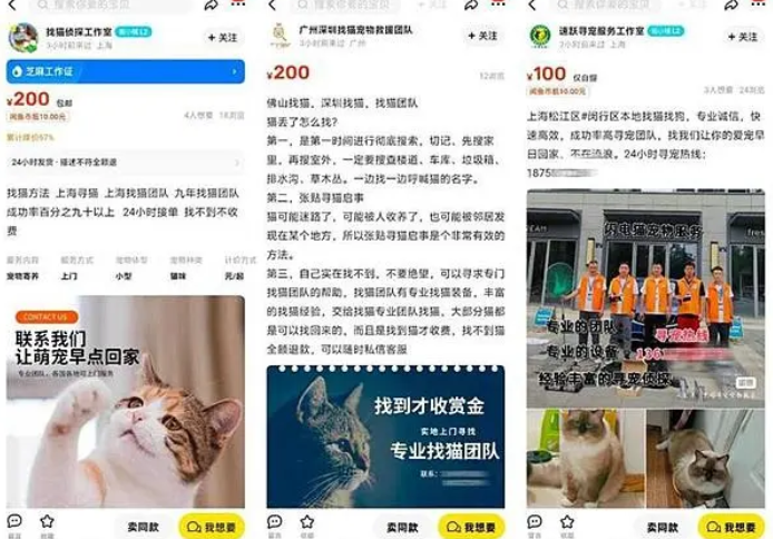 寻找一只猫一天至少走4万步！揭秘“宠物界的福尔摩斯”