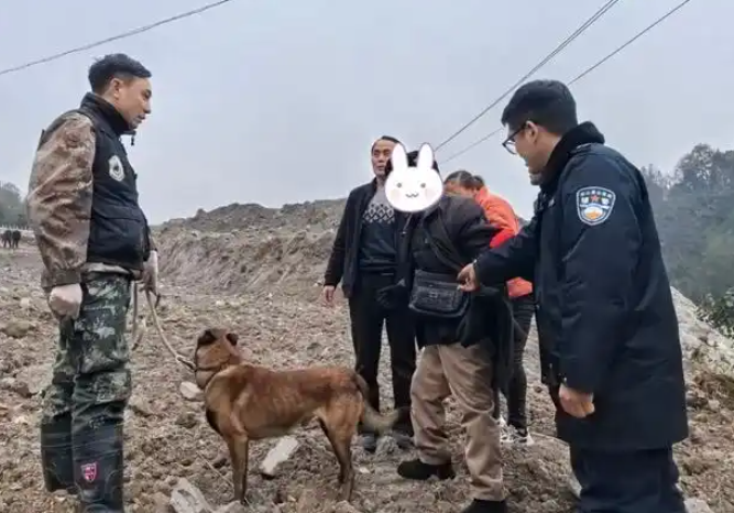 无人机＋警犬联合行动，找回两名走失老人
