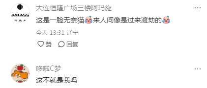 大千世界无奇不有，居然在一只小猫的脸上看到了班味