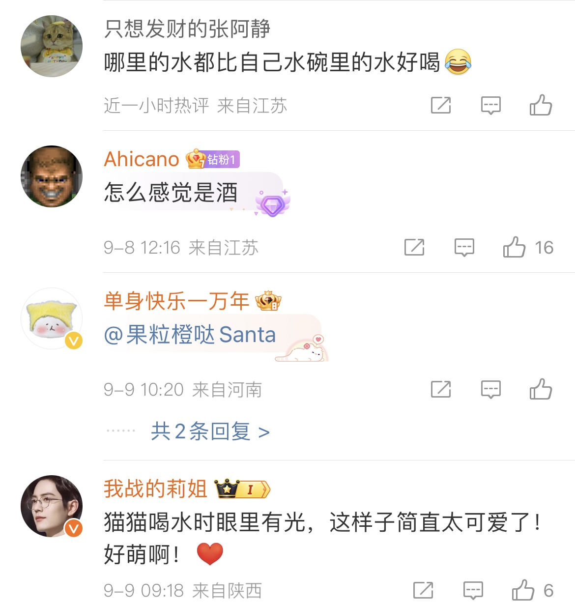 猫 你说这水怎么这么好喝