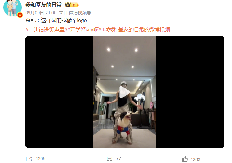 金毛：这样显的我像个logo