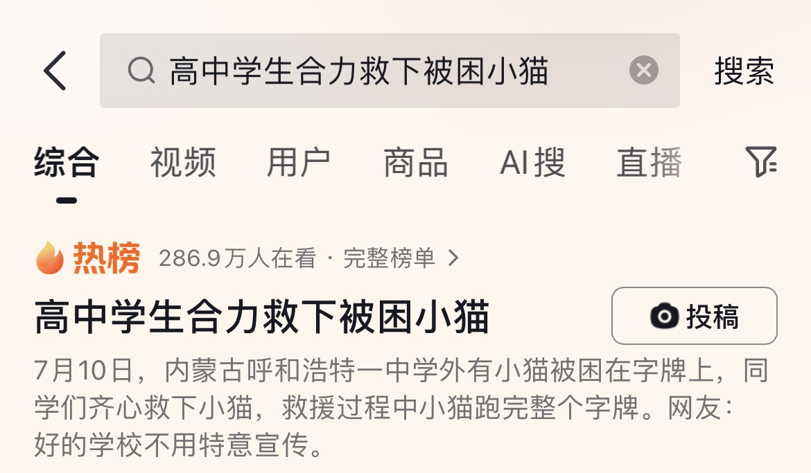 高中学生合力救下被困小猫！