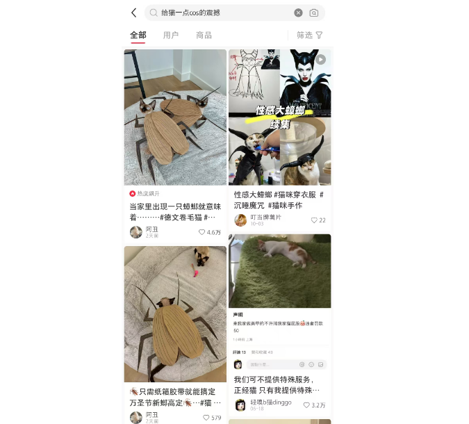 喵界的时尚灾难？给猫一点cos的震撼