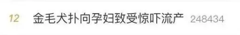 未拴绳金毛犬扑来，41岁孕妇受惊吓流产！犬主：怀试管婴儿就该多在家休息……