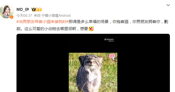 当男朋友带着小猫来接我时，幸福这一刻具象化了