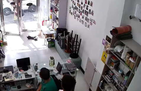 朋友送网友一条巨贵犬，来到门口扔了就走！