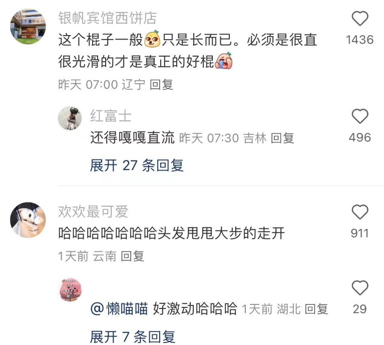 一根棍子让小狗对我产生原始崇拜