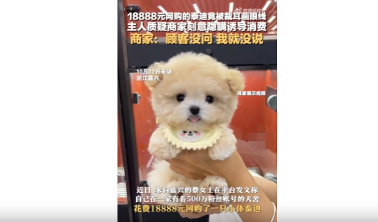 近两万买只整容狗，宠物市场乱象该整整了