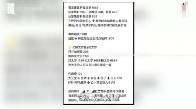 猫咪去世后她花上万元找宠物沟通师 结果扎心了……