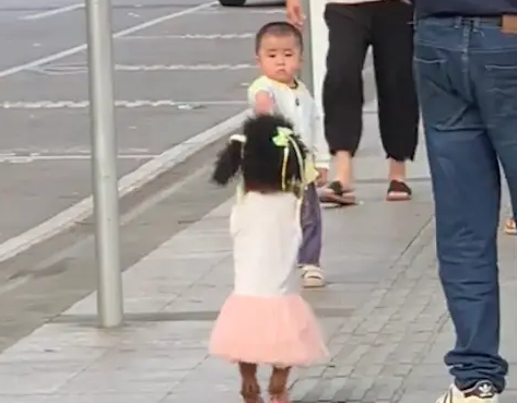 男子给狗穿裙子戴假发，小孩看见都懵了
