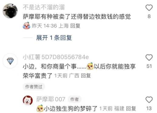 笑不活了！边牧：差点就是嫡长狗了