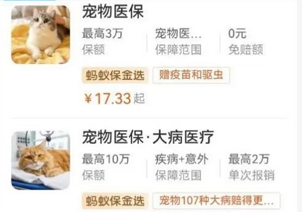 买时容易、理赔很难，宠物保险是“养宠必备”还是“智商税”？