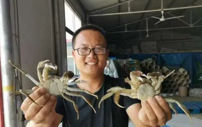 大闸蟹即将批量上市，济南市场9成以上是南方蟹