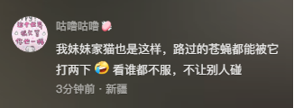 这怕不是一只超雄小猫咪吧？网友：糟了身份被拆穿了