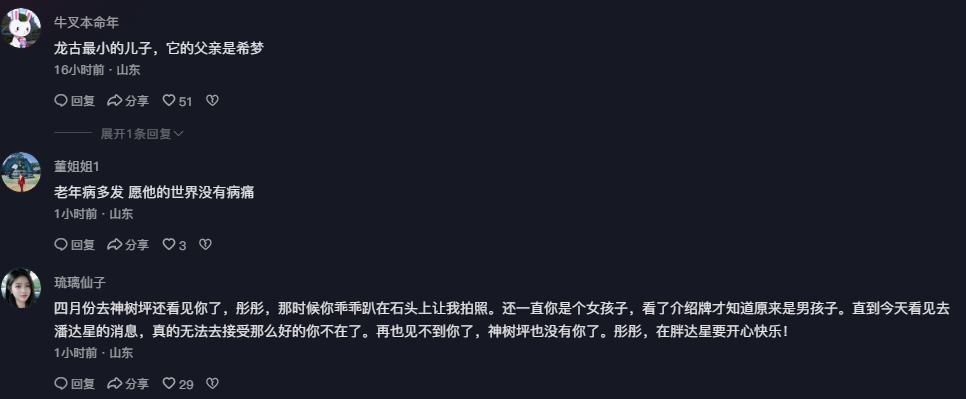 大熊猫彤彤因病死亡，网友：愿你在潘达星幸福快乐