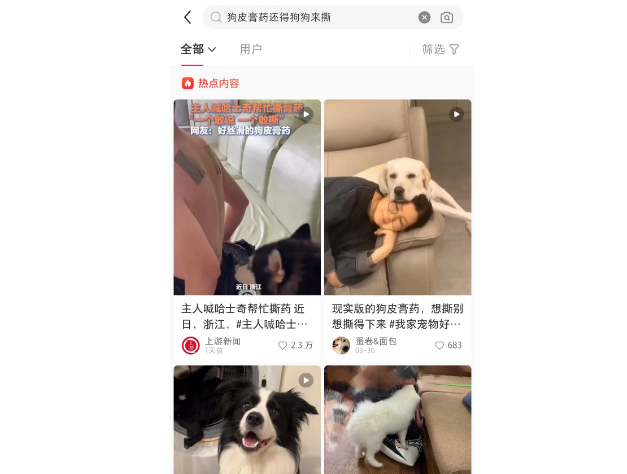 狗皮膏药还得狗狗来撕！呃！真疼