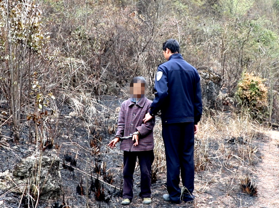 “报复”蚂蚁酿大祸！69岁老人被判刑