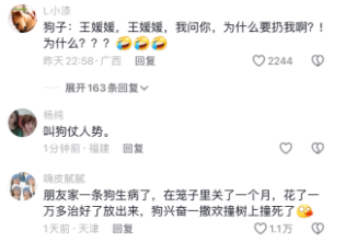 不养狗不知道养狗的乐趣，网友：这叫狗仗人势！