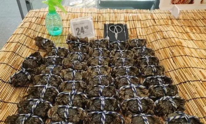 大闸蟹即将批量上市，济南市场9成以上是南方蟹