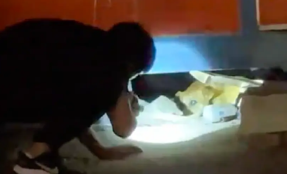 流浪狗脖上还拴着绳套，脖子一圈被勒得血肉模糊！