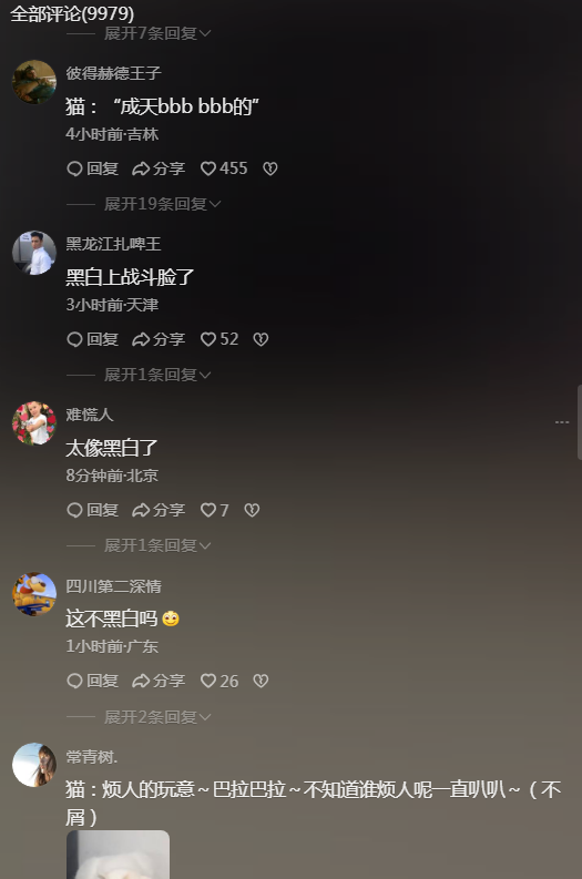 猫咪:那咋了，萌态中透露生活哲理