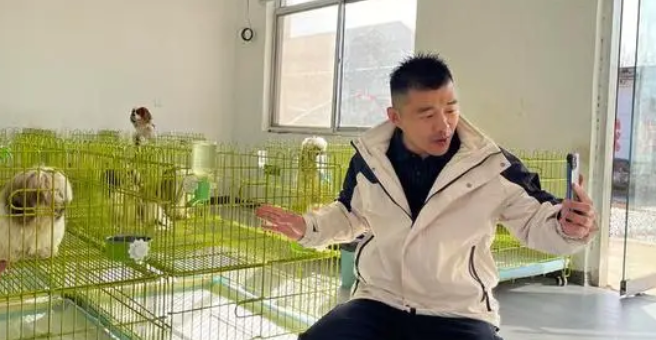 临沂这个村为啥能出120家宠物养殖场？