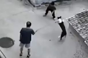 9岁男童家楼下遭男子放狗扑咬？