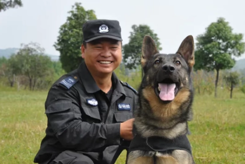 使命必达！探访警犬大队感受“奇兵”风采