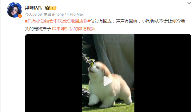 治愈时刻，也许只有小动物会不厌其烦地回应你
