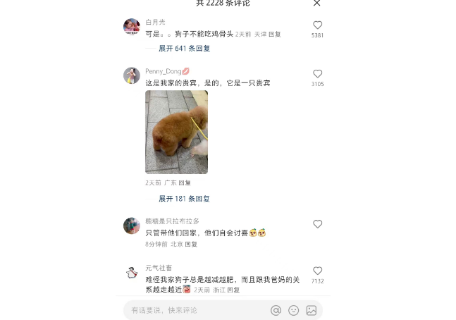牛？建议把狗主人这段纳入北影教材