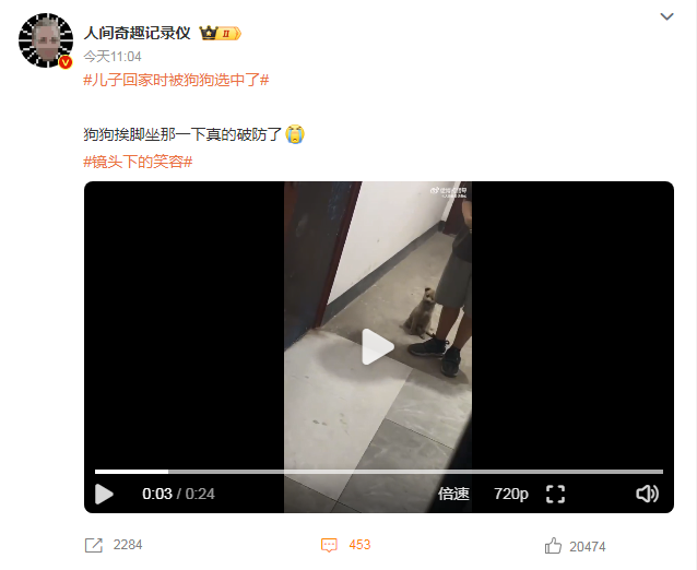 男孩回家时被狗狗选中了，这何尝不是一种缘分呢！