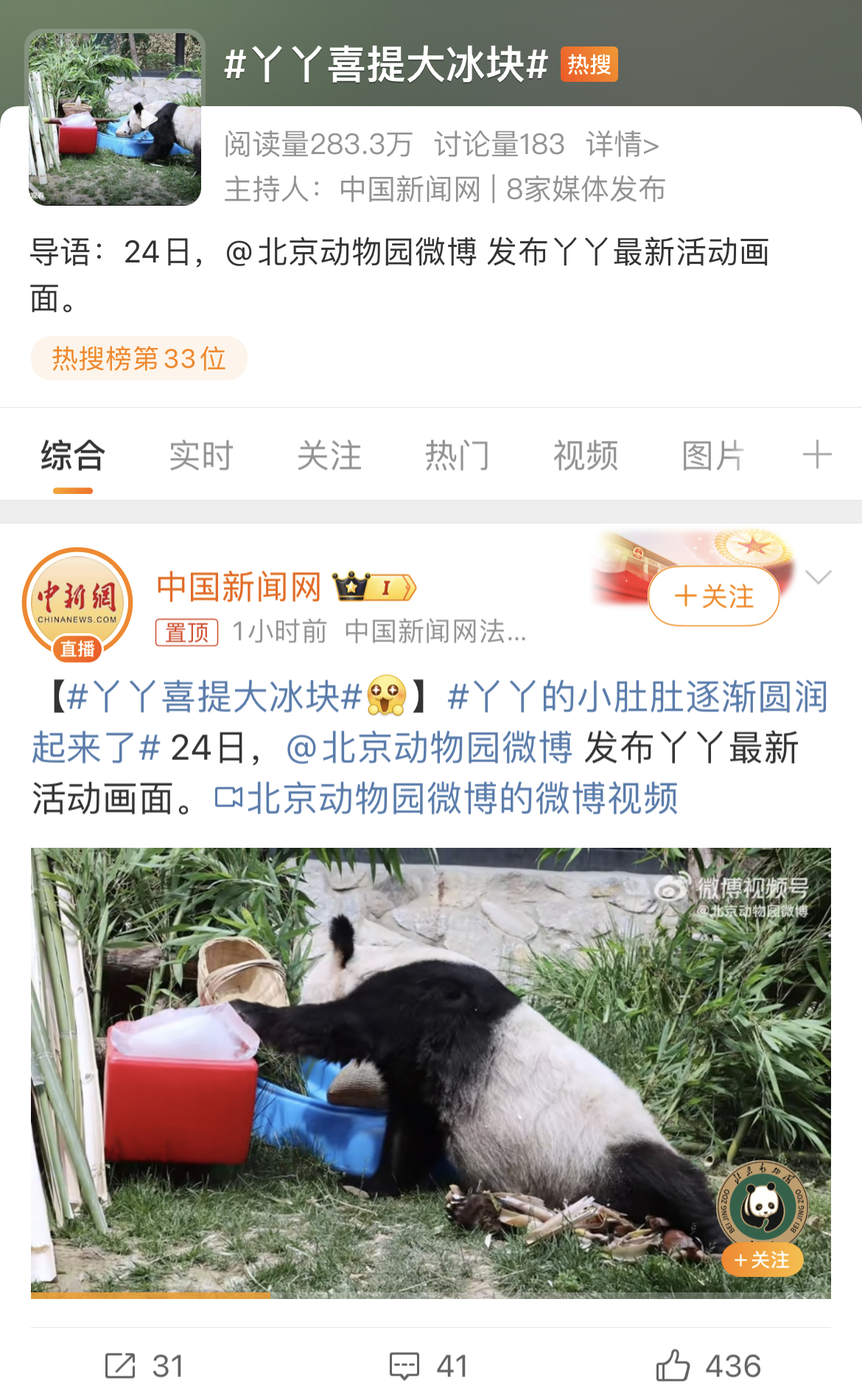 丫丫大冰块派对，圆滚滚的肚皮成焦点