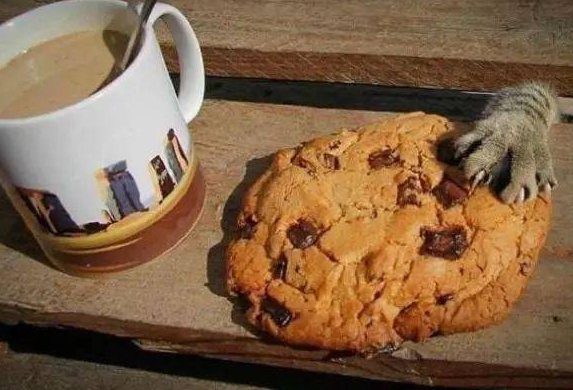 小猫偷吃粘一脸豆子，当场变身爆笑表情包，主人又好气又好笑 