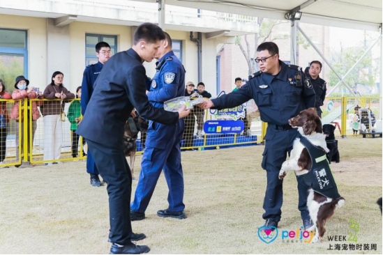 养宠市民:宠物时尚消费其实和人一样,都是对美好生活的向往 养宠市民:宠物时尚消费其实和人一样,都是对美好生活的向往